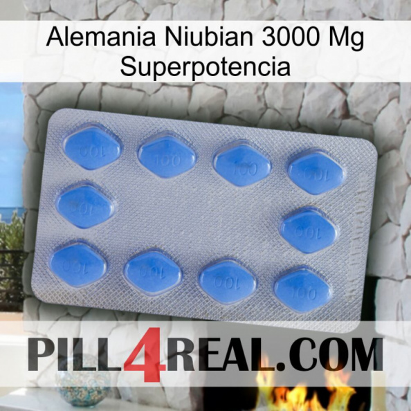 Germany Niubian 3000 Mg Superpower 21.jpg